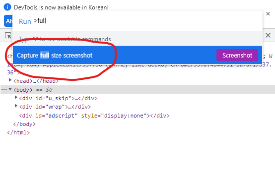 크롬 브라우저에서 스크롤 캡쳐하기. full을 입력해보면 아래 명령어(Capture full size screenshot)가 추천된다.