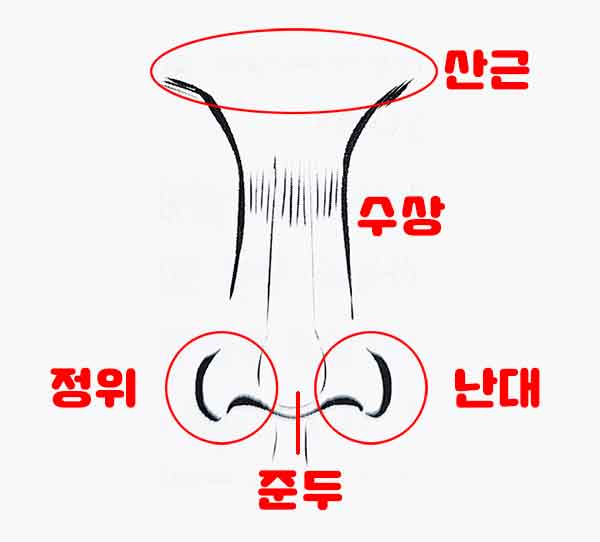 코 위치별 명칭