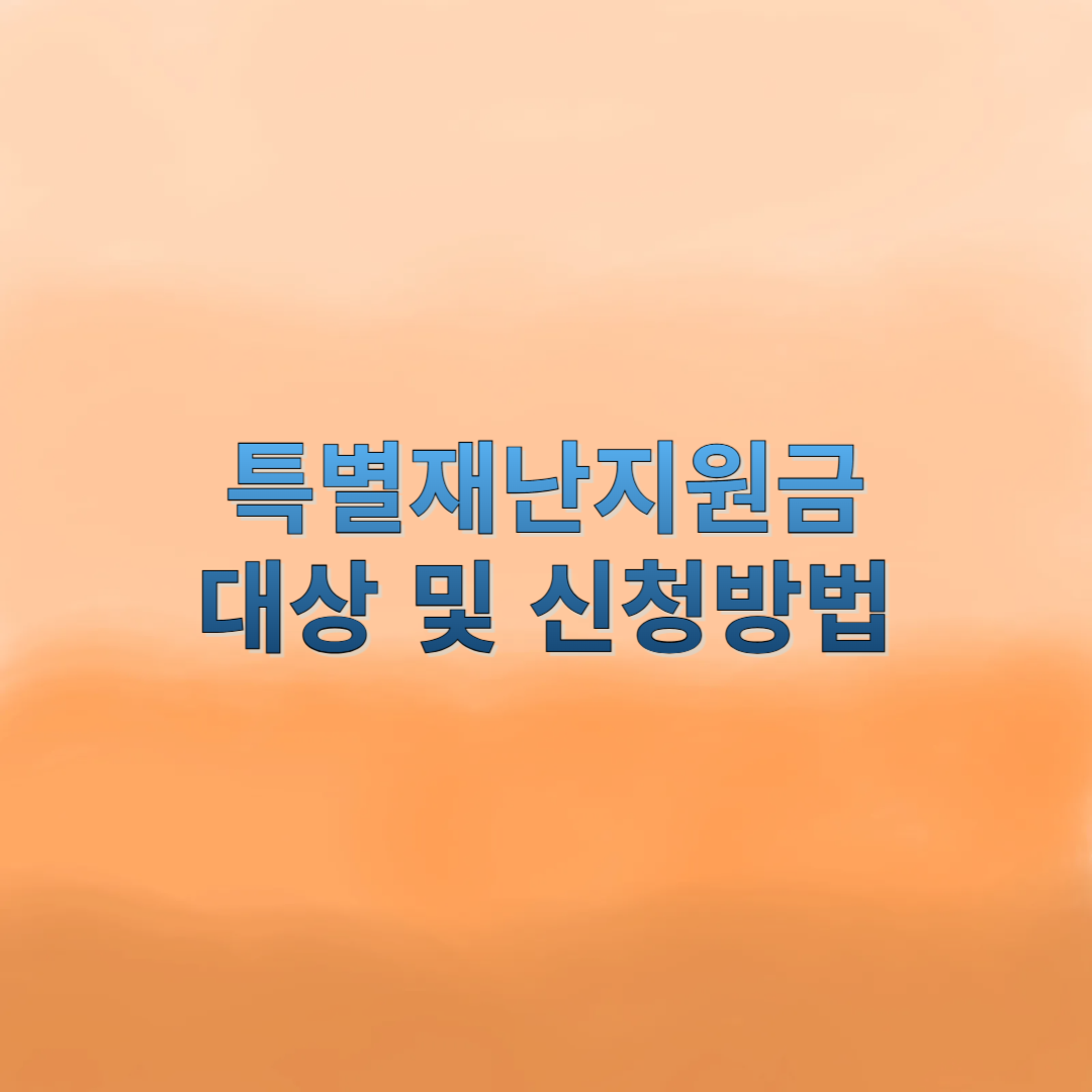 특별재난지원금 관련사진