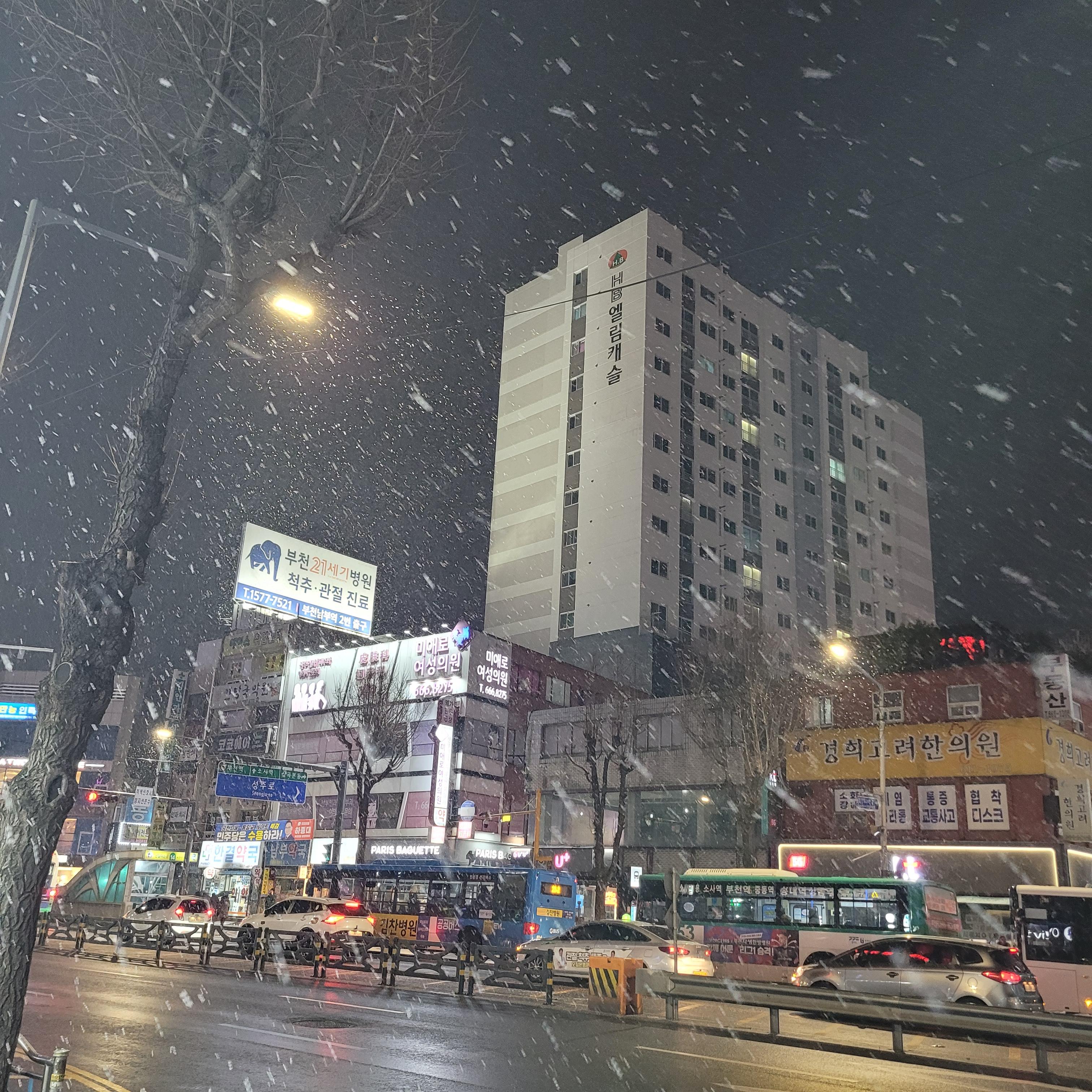 키친달팽이 사진 4