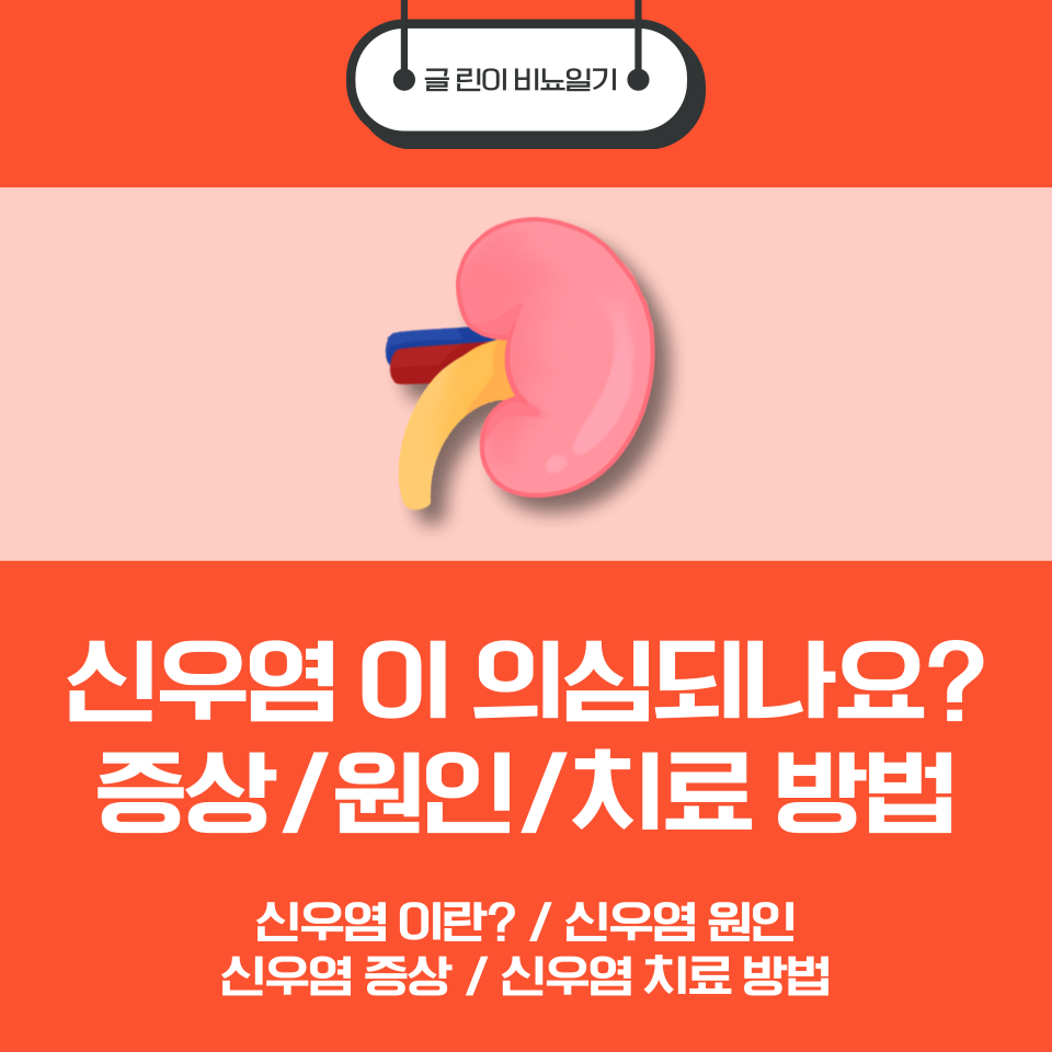  신우염 이 의심 되시나요? 증상/원인/치료 방법
