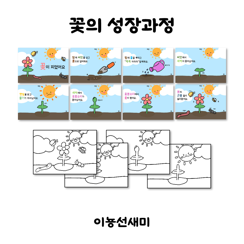  꽃의 성장과정/식물의 성장과정/색칠하기도안
