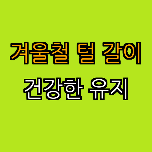 4. 겨울철의 털 갈이 관리법