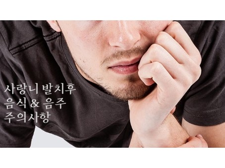  사랑니 발치후 음식 & 음주 주의사항