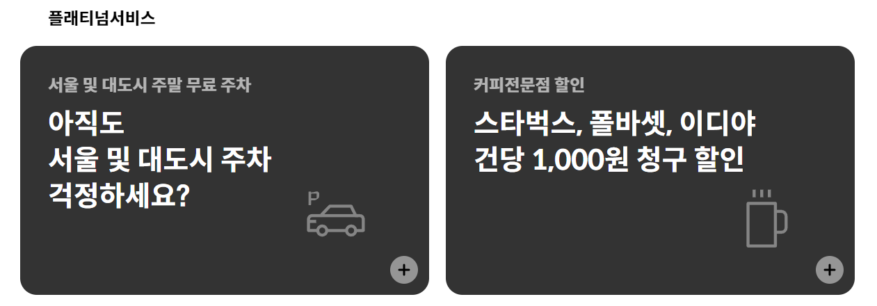 현대카드 플래티넘 서비스