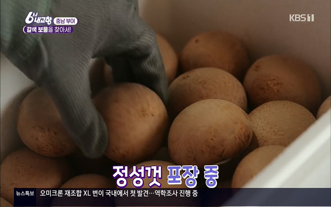 6시 내고향.E7512.220416p.H264-F1RST.mp4_20220502_185502.152.jpg