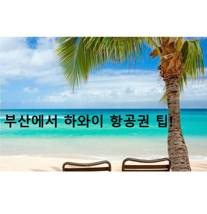  부산에서 하와이 항공권 구매 팁!
