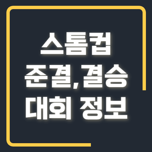 스톰컵 준결 결승 대회정보
