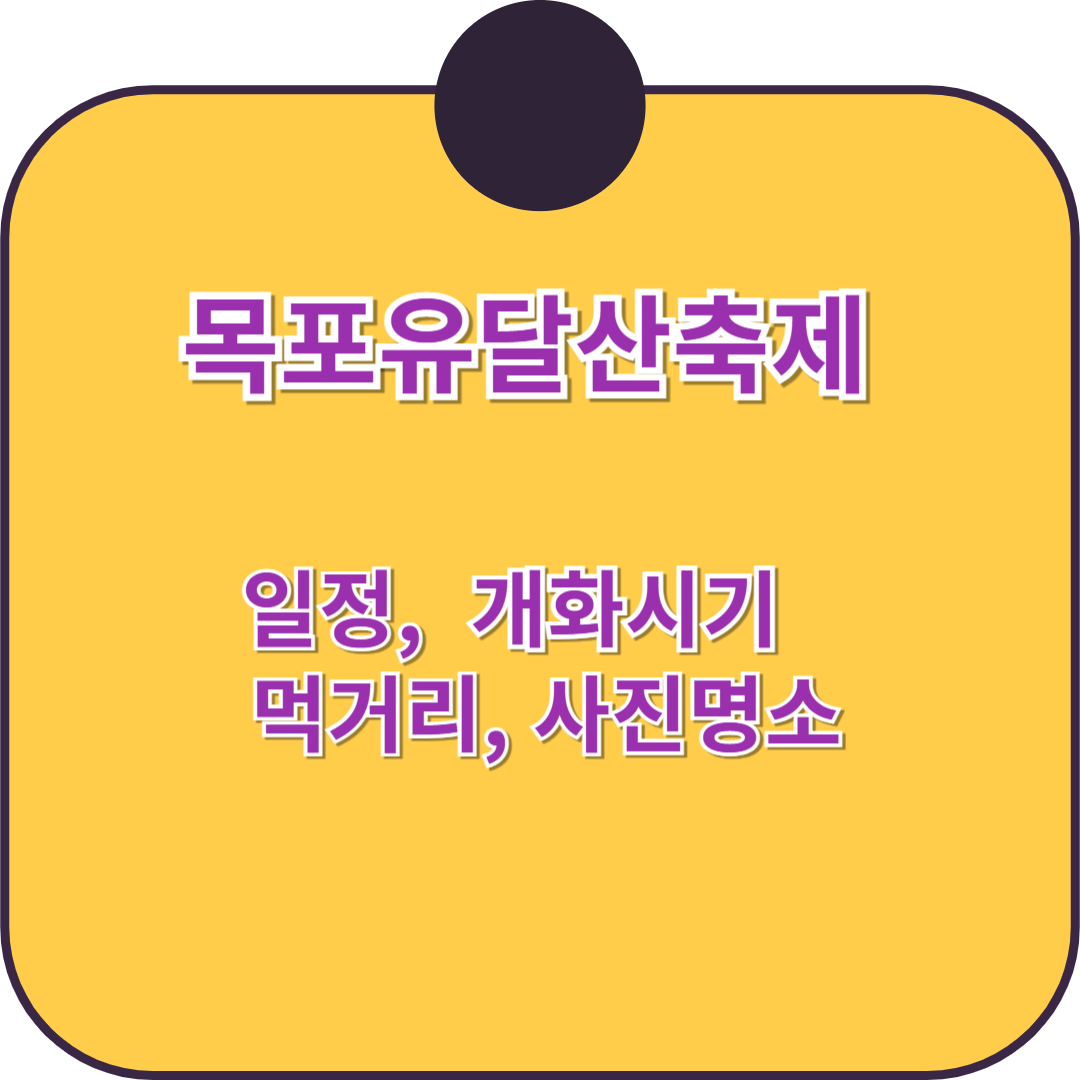 목포 유달산축제 2025 ❘ 일정 &amp; 개화시기 명소추천