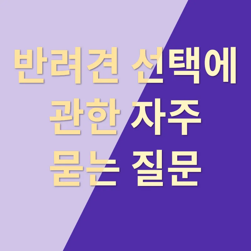 반려견 선택_4