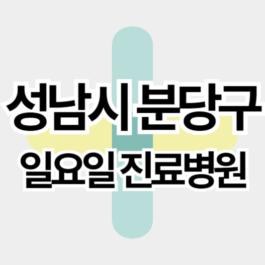 성남시_분당구_일요일진료병원_썸네일