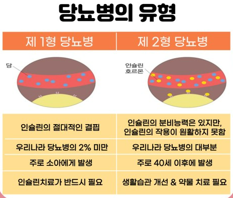  합병증의 원인, 만성 질환 <당뇨병>에 대한 모든 것.
