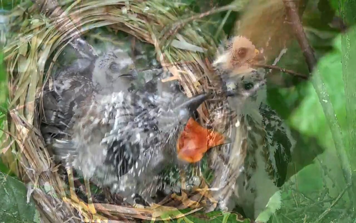 생존 3부_ EBS 다큐프라임_ 220629.avi_20220701_210638.893.jpg