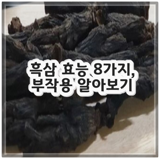 흑삼 효능 8가지&#44; 부작용 알아보기