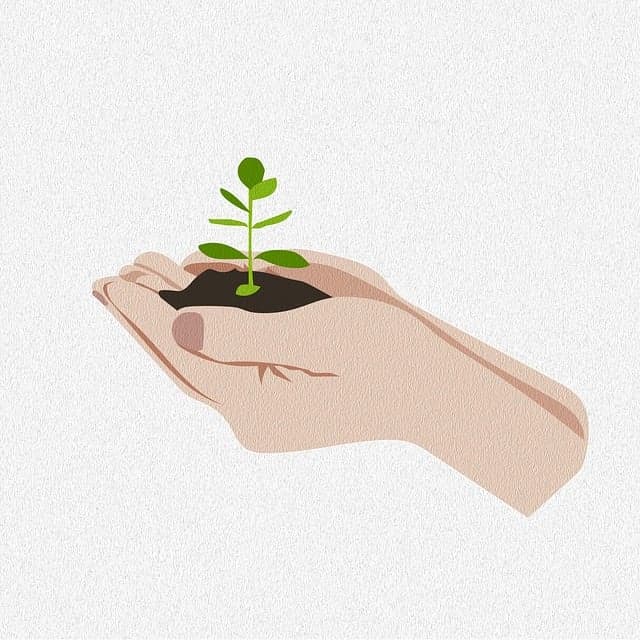 2025년 생계급여 얼마까지 받을 수 있을까?｜기초생활보장 생계급여 금액표 정리