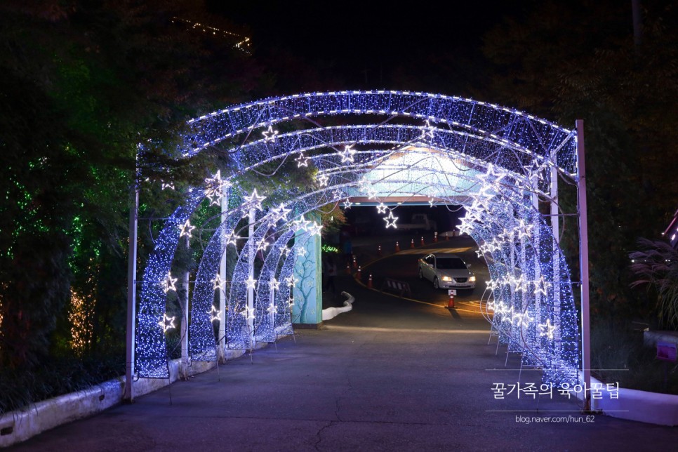 경북 축제 경북 아이와가볼만한곳 청도 57