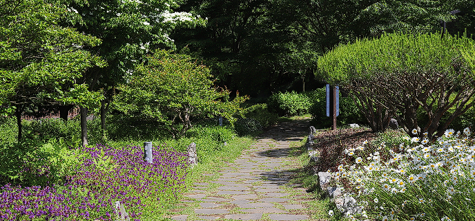 삼선산수목원 야생초원