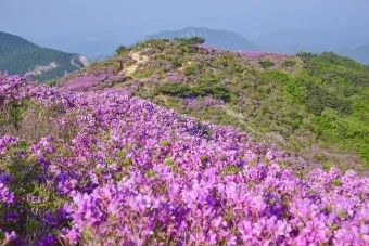 5월 경남 부산 근교 가볼만한곳 베스트10 명소_7
