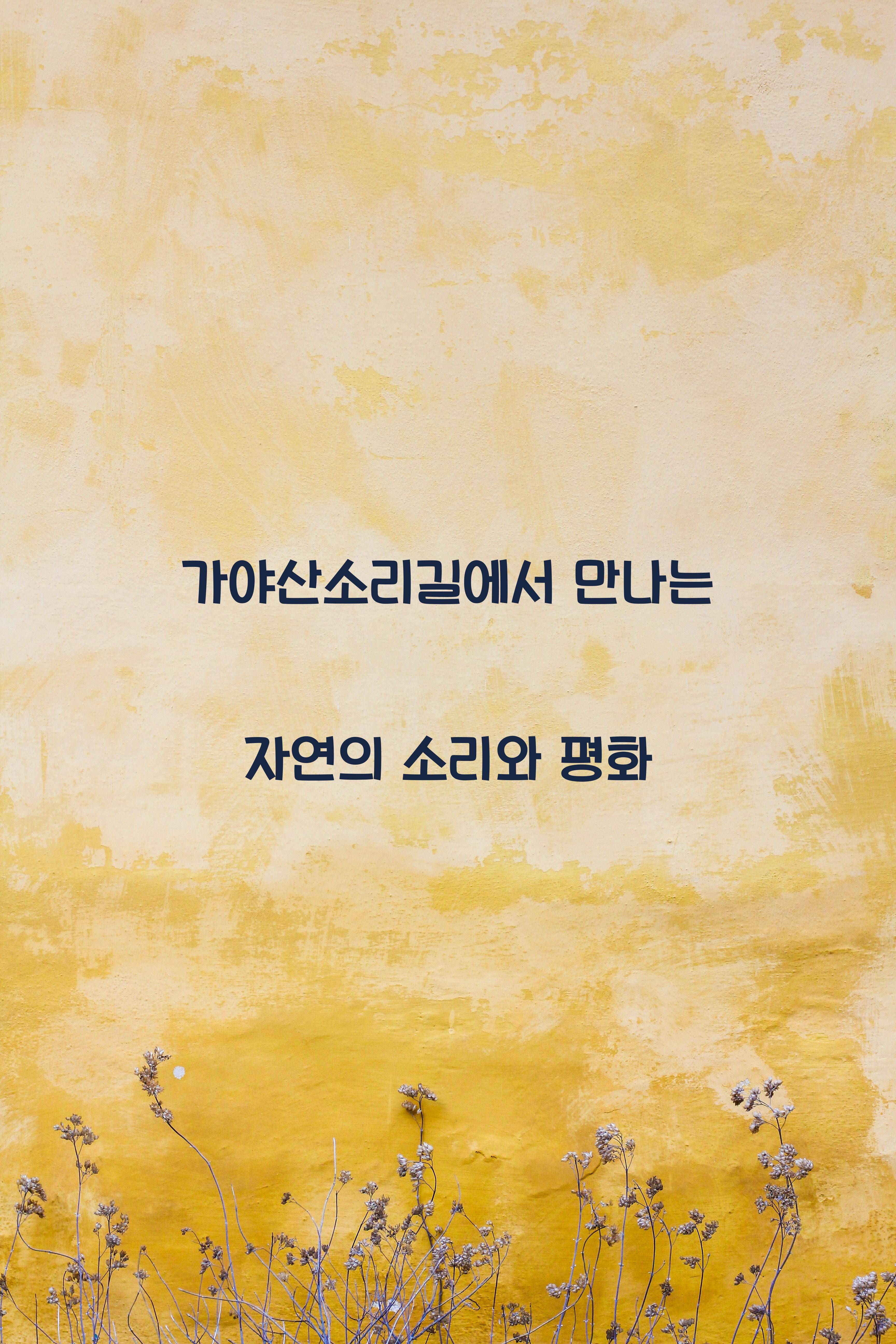 가야산소리길에서 만나는 자연의 소리와 평화 - 🌳 가야산 소리길의 매력 가야산소리길