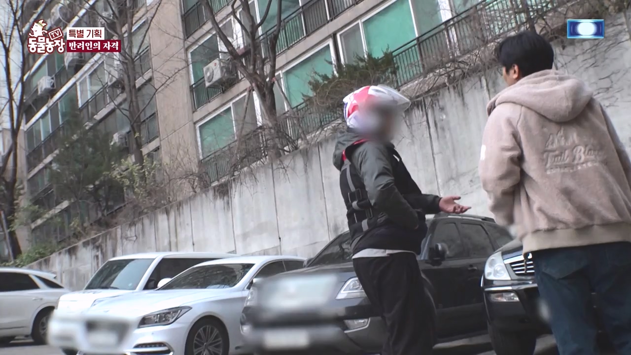 TV 동물농장.E1171.240513p-NEXT.mp4_20240512_163350.852.jpg