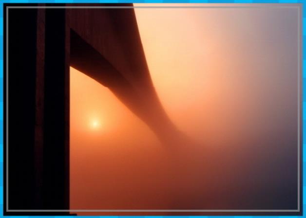 화분에 꽃이 피는 꿈, 화분에 꽃이 피는 꿈 2