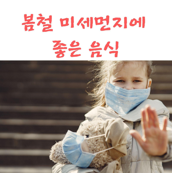 봄철 미세먼지에 좋은 음식