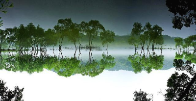 초록 나무가 물 위에 비치는 호수