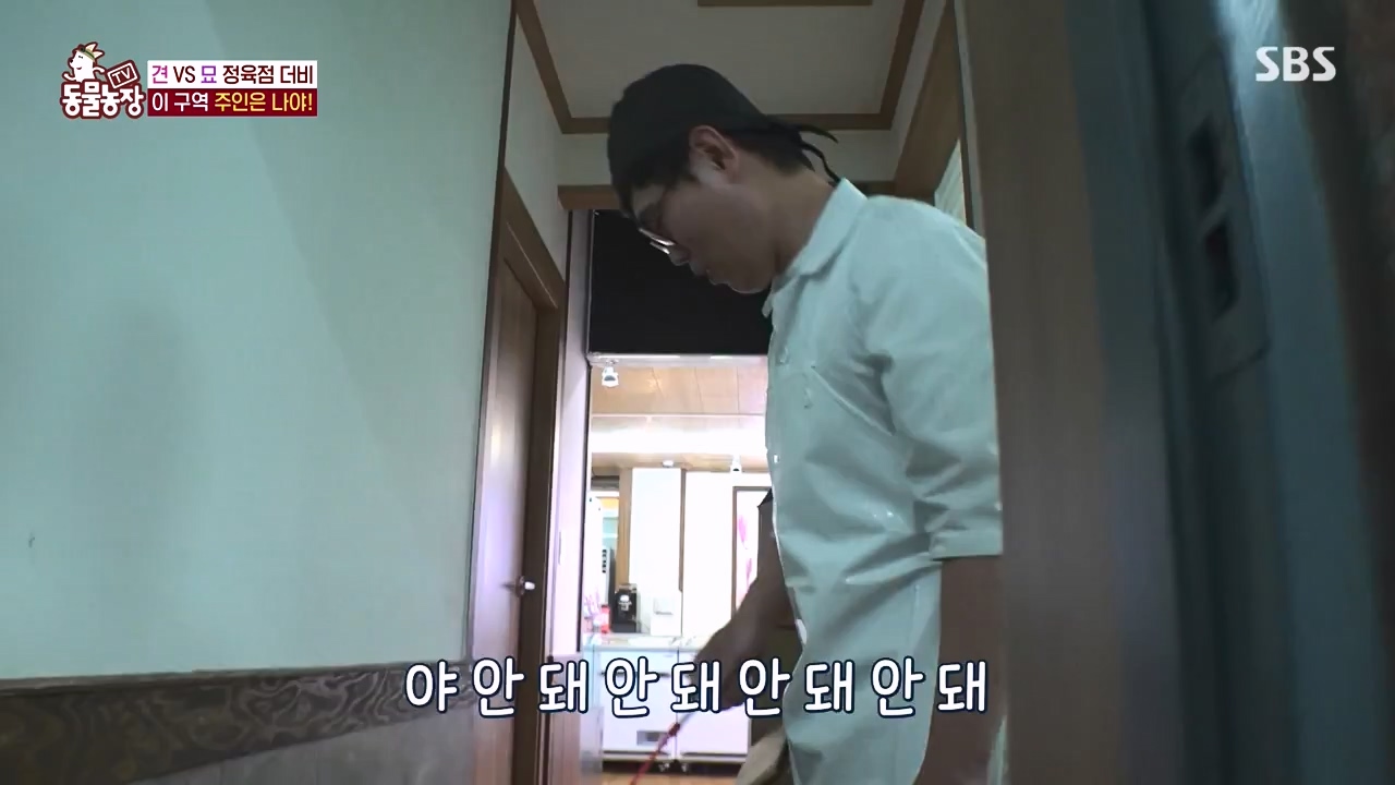 TV 동물농장.E1146.231120p-NEXT.mp4_20231119_175242.122.jpg