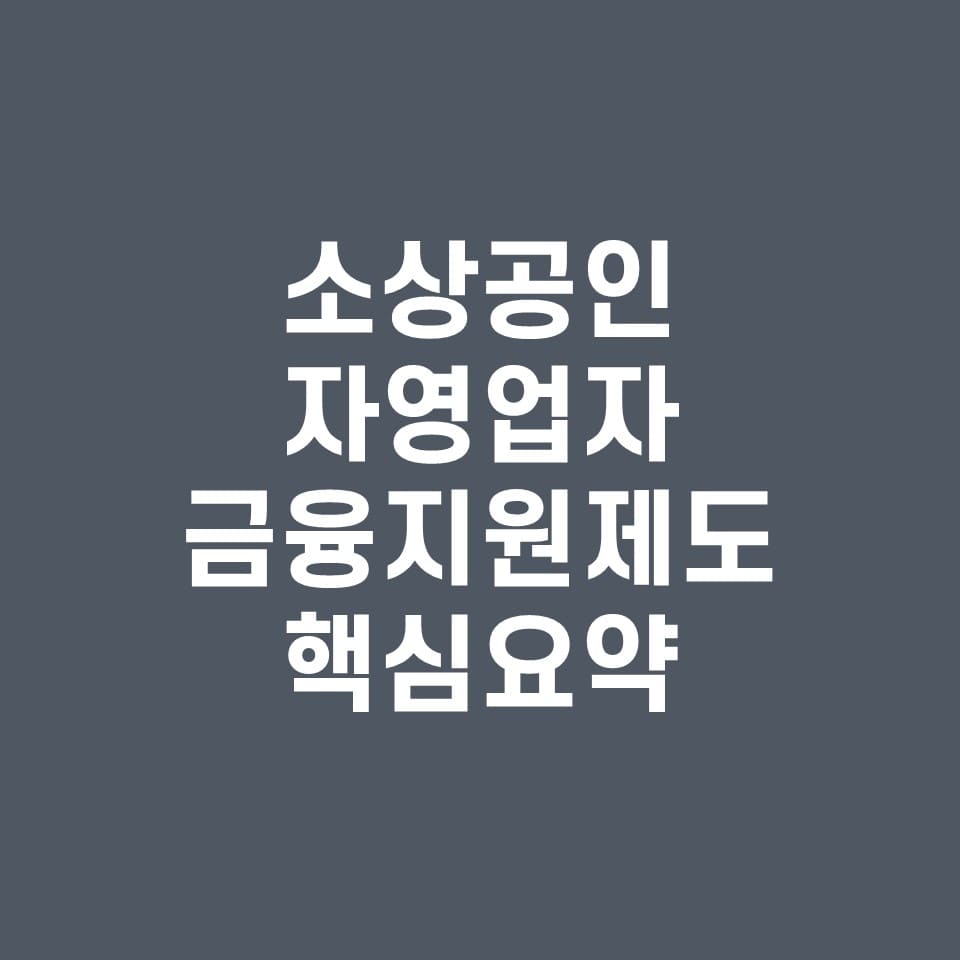  소상공인 자영업자를 위한 대출지원, 금융지원제도 핵심 정리