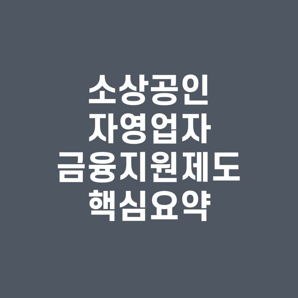 소상공인-자영업자-금융지원제도-핵심-요약-정리