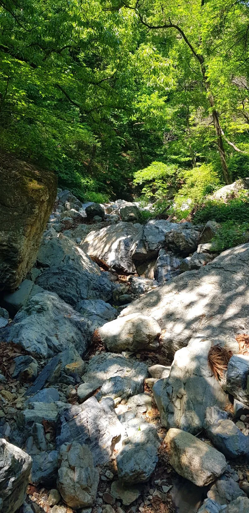 창원 비음산