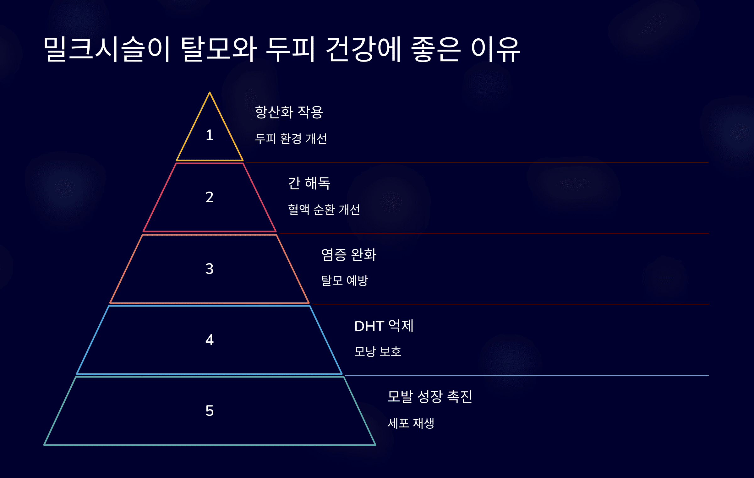 밀크시슬이 탈모와 두피 건강에 좋은 이유