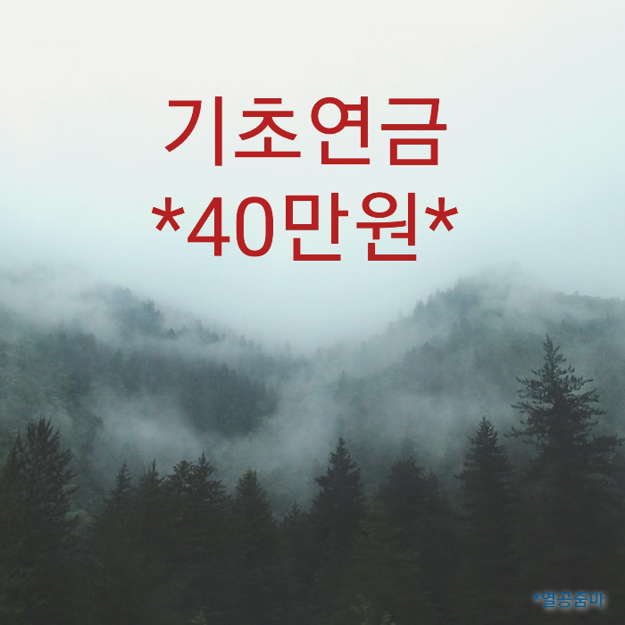 산-안개-노후-기초연금