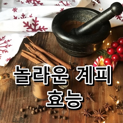  계피 효능 10가지