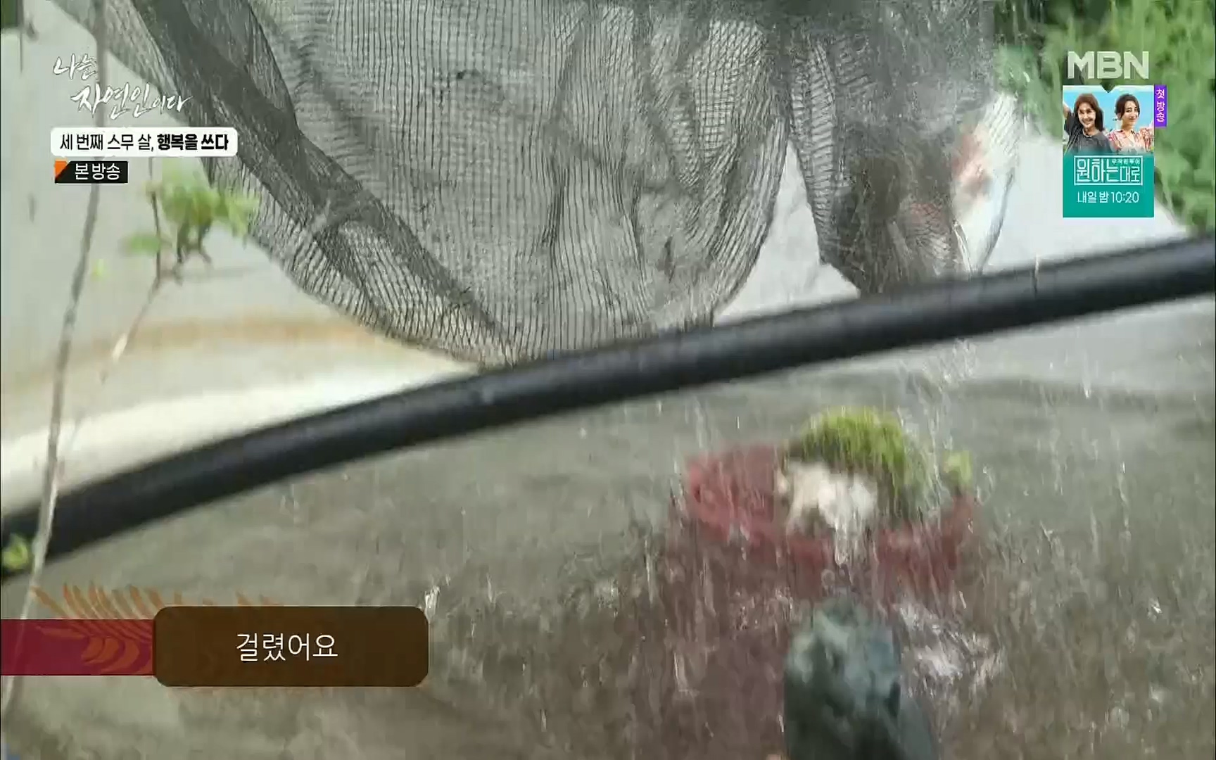 나는 자연인이다.E516.220824p.H264-F1RST.mp4_20220825_164144.547.jpg