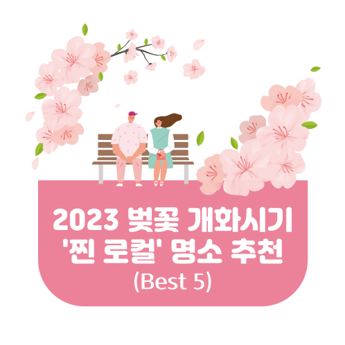 2023 벚꽃 개화시기 찐 로컬 명소 추천 썸네일 이미지