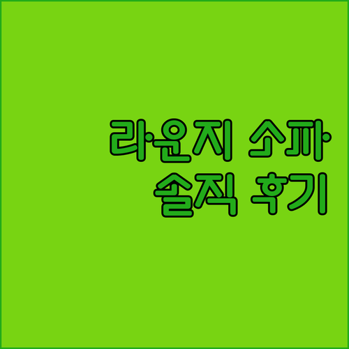 오늘의집 LOUNGE 소파 왜 샀냐구