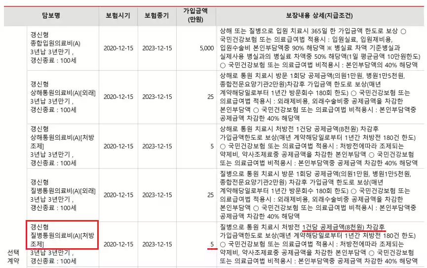 실비보험보장내역