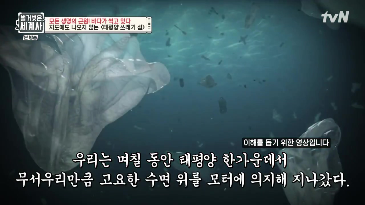 벌거벗은 세계사.E90.230315p-NEXT.mp4_20230419_204328.642.jpg
