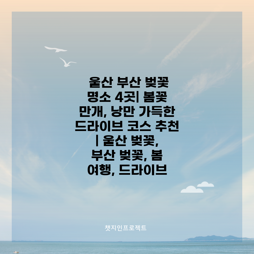  울산 부산 벚꽃 명소 4곳 봄꽃 만개, 낭만 가득한 