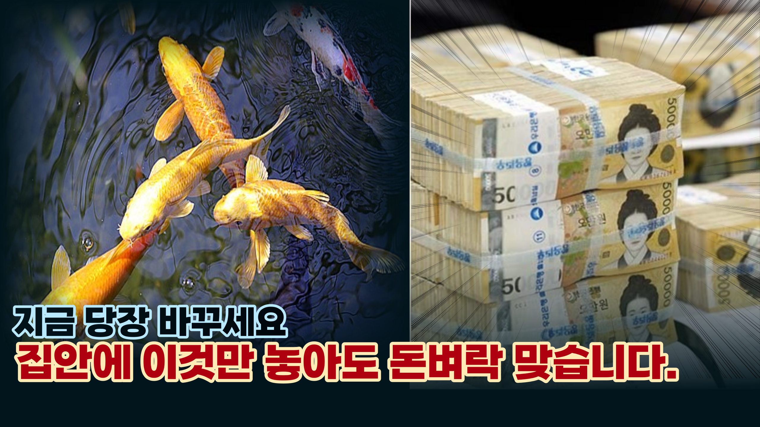  '인생이 잘 안풀리다면 바꾸세요' 올해 대박 기운을 한가득 가져다 주는 아이템