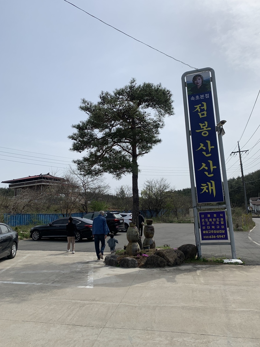 점봉산산채 이미지