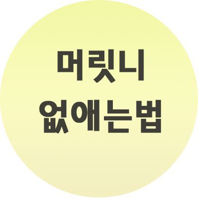  머릿니 없애는법 증상, 예방하기 알아보세요