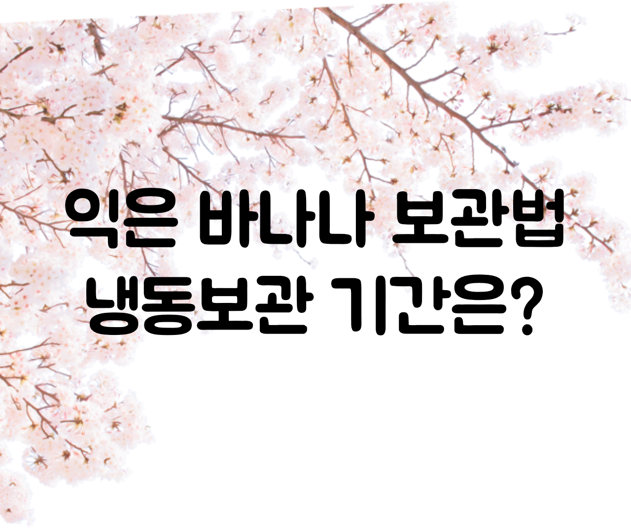  다익은 바나나 냉장고 보관법 / 바나나 냉장보관법, 냉동보관 기간