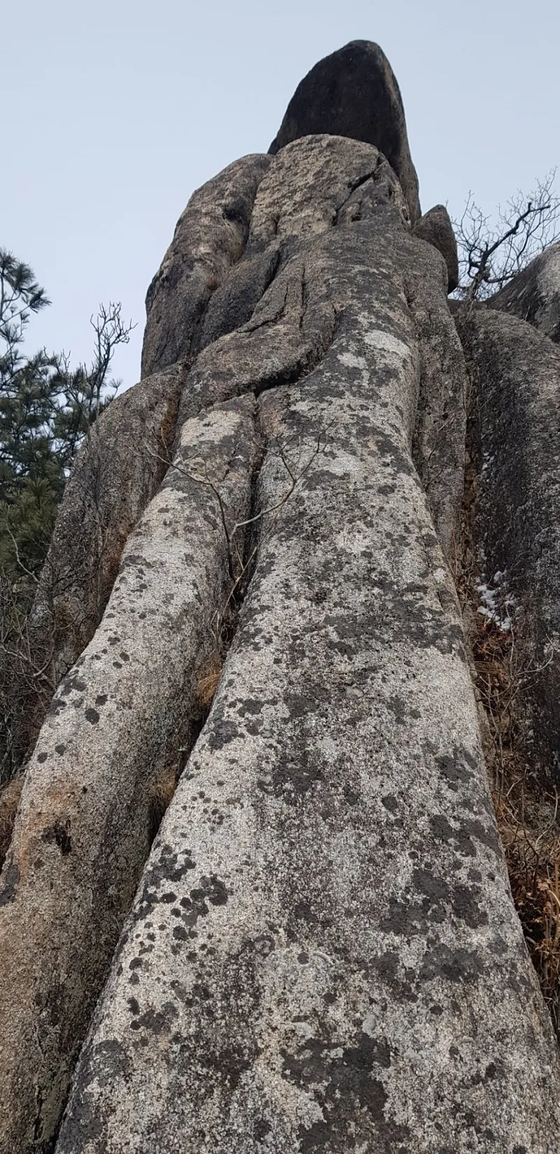대구 팔공산