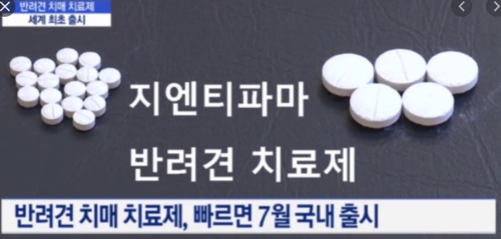 지엔티파마 개치매치료제 신약개발뉴스 사진
