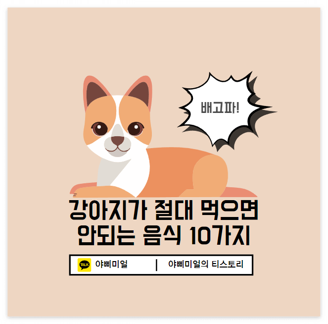  강아지가 절대 먹으면 안 되는 10가지 음식 총정리