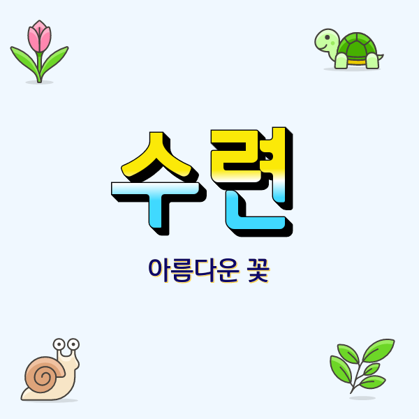  수련과 식물 수련