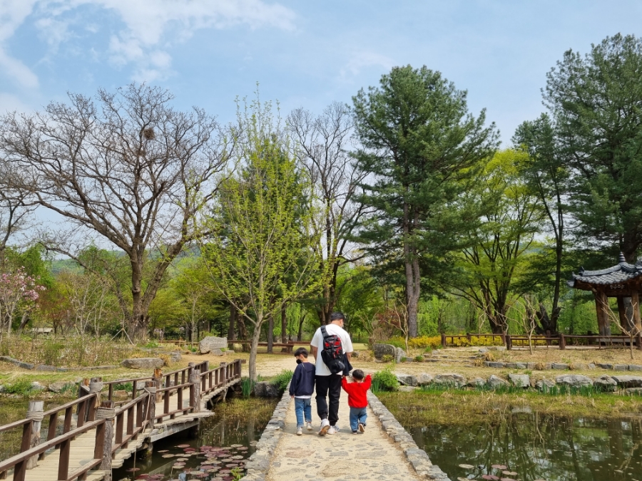 남이섬 배시간표 남이섬 배시간표, 할인 방법, 52