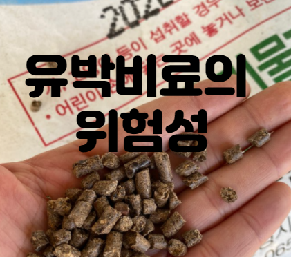  강아지와 고양이에게는 아주 위험한 유박비료의 성분과 원인
